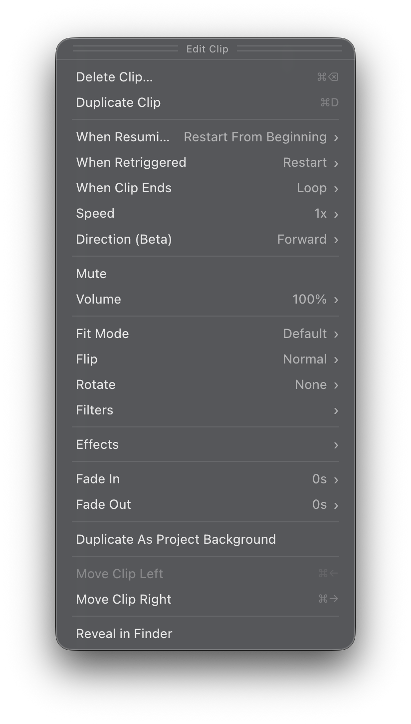 Clip Editor Panel showing all options for a video Clip