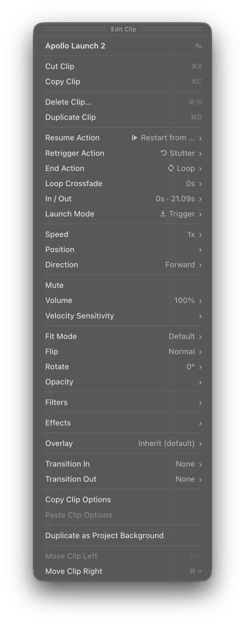 The Clip Editor Panel showing the options for a Video Clip