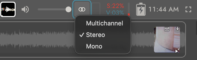 The audio mode menu open from the Control Bar, showing Multichannel, Stereo, and Mono