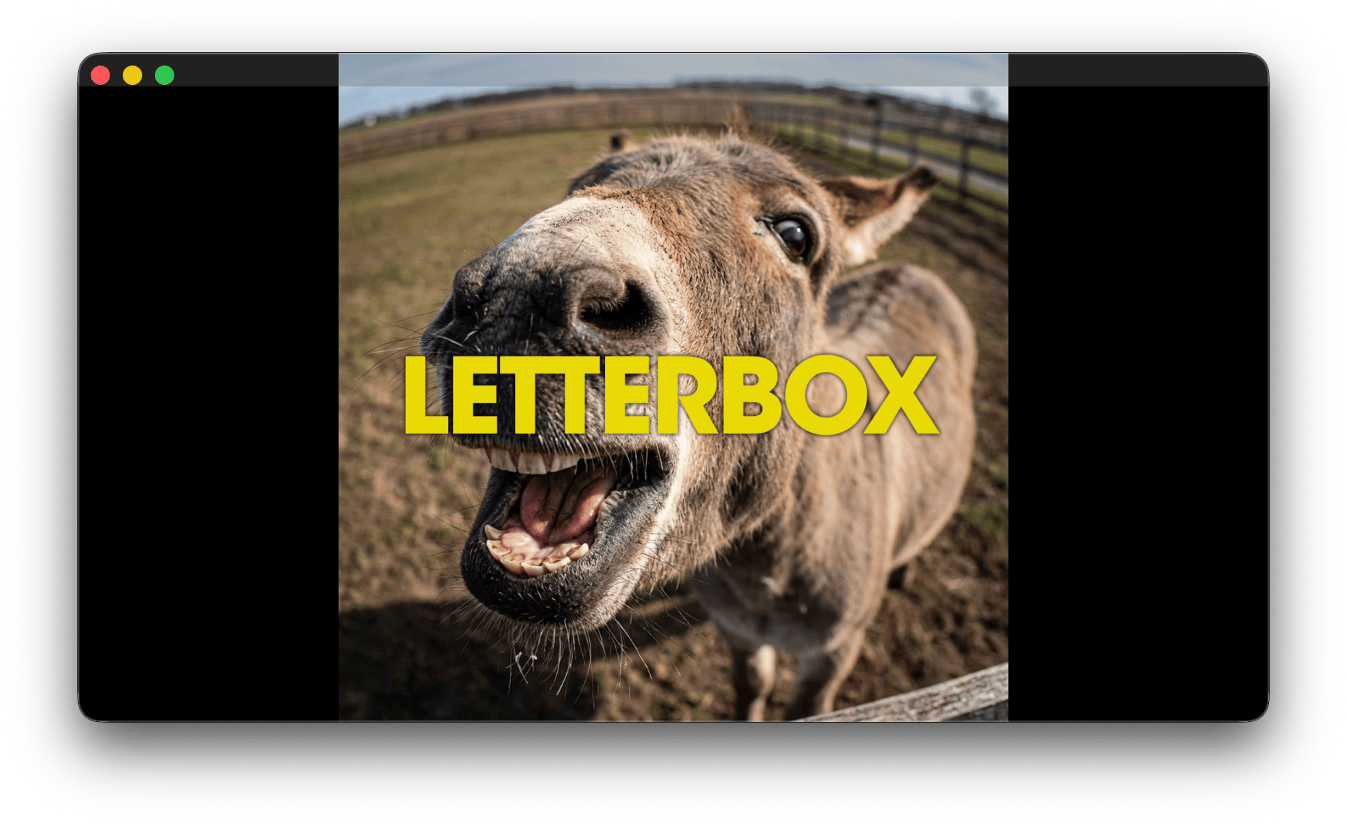 A square image in the Output window with black bars on both sides preserving its aspect ratio