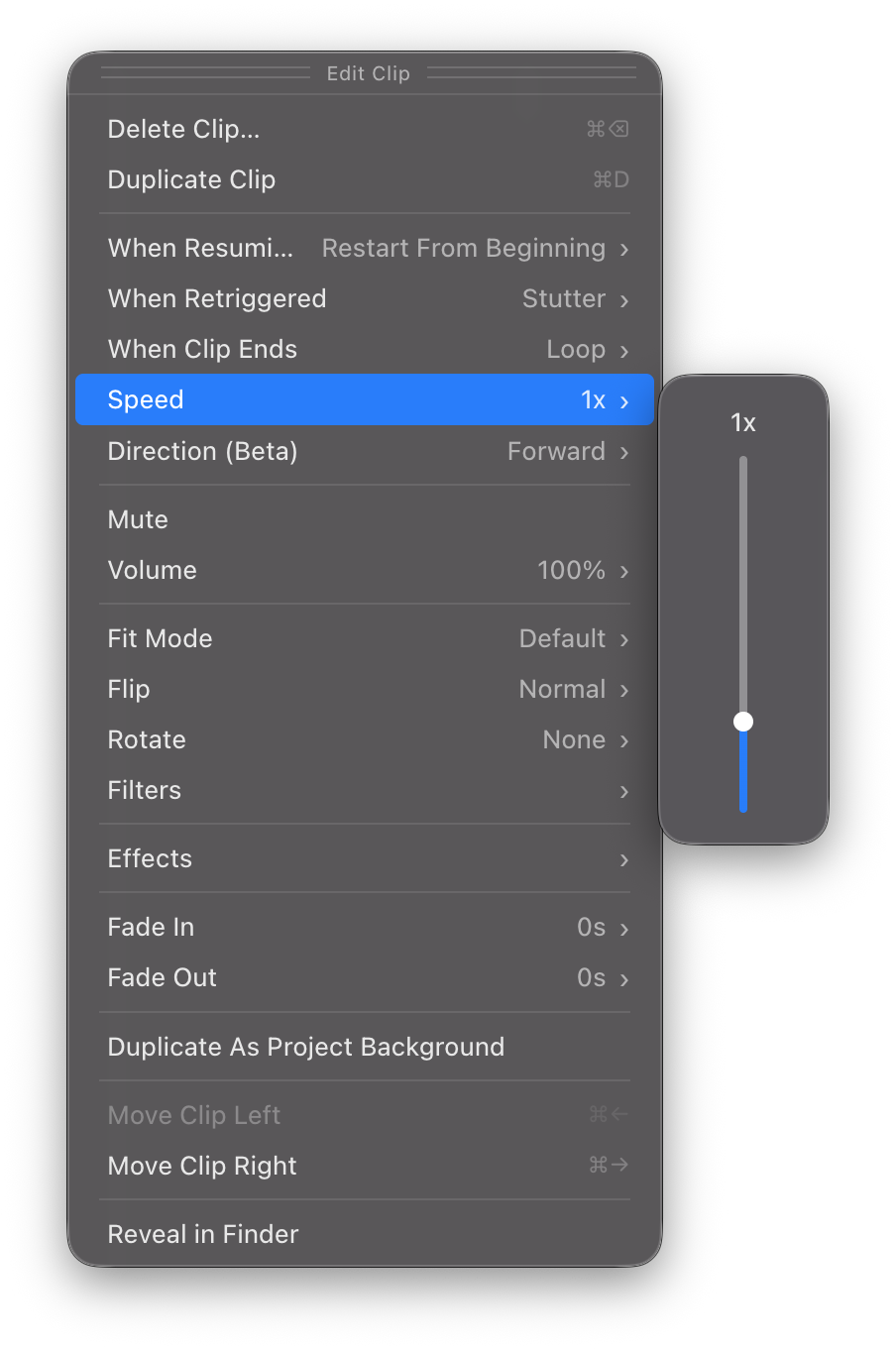 Speed subpanel with vertical slider for adjusting clip playback speed